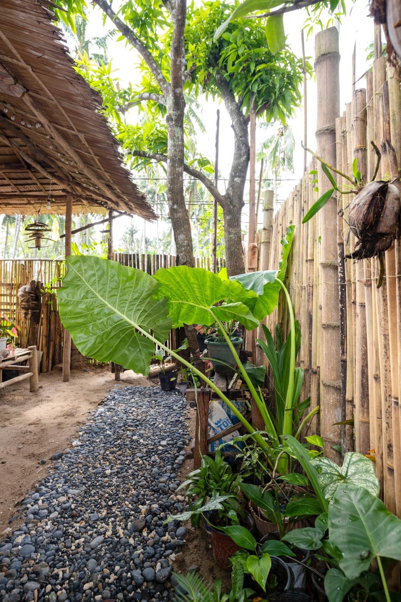 Femya Native House Leilighet El Nido Eksteriør bilde
